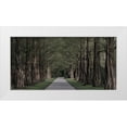 thumbnail image 1 of Prime, Marcus 24x14 White Modern Wood Framed Museum Art Print Titled - Freedom Road, 1 of 4