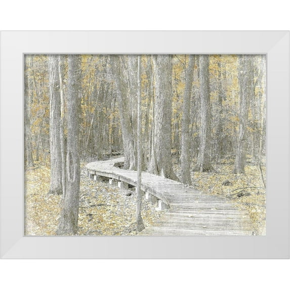 Prime, Marcus 24x19 White Modern Wood Framed Museum Art Print Titled - Autumn Stroll