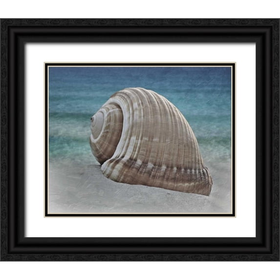 Prime, Marcus 32x26 Black Ornate Wood Framed with Double Matting Museum Art Print Titled - Shell Ray Soaking