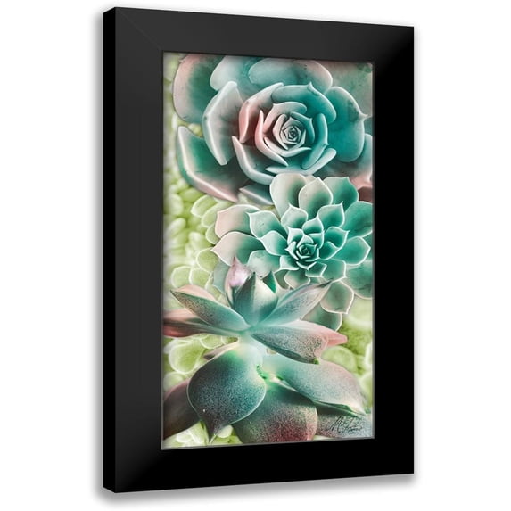 Prime, Marcus 9x14 Black Modern Framed Museum Art Print Titled - Adored Succulents 6