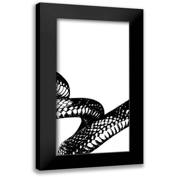 Prime, Marcus 9x14 Black Modern Framed Museum Art Print Titled - Snake Bite 2