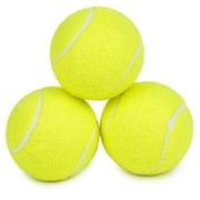 Prime Pets Tennis Balls for Dogs, 3 Pack 2.5'' Dog Squeaky Balls for Large Medium Dog, Puppy Chew Toy