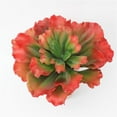 thumbnail image 1 of Prime SHISHIan Plastic Artificial Queen Of Flowers Simulation Artificial Succulent Plants For Home Decoration Garden Wall Arrangement Red，Christmas Decorations，Fake Flowers，Artificial Plants Indoor, 1 of 8