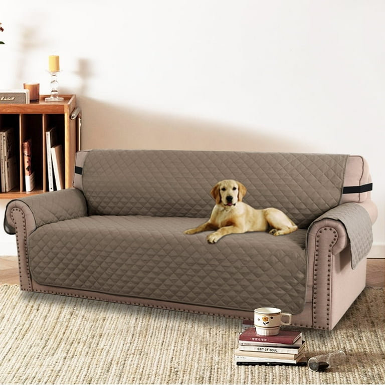 Best lounge covers hotsell
