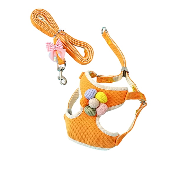 Primegos Pet Vest Harness with Leash 3D Colorful Flower Decor Step-in Adjustable Buckle No Pull Escape-proof Breathable Small Dog Puppy Cat Chest Harness Pet Supplies