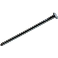 PrimeSource Do it Bright Common Nail - Pack of 10