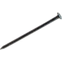 PrimeSource Do it Hot Galvanized Box Nail - Pack of 10
