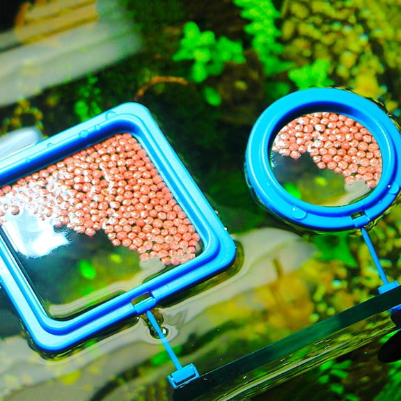 Primegos 4 Pcs Fish Feeder Ring, Fixed Feeding Area Food Tray Suspension ,Plastic Aquarium Floating Fish Food Ring with Suction Cup for Guppy Betta Goldfish