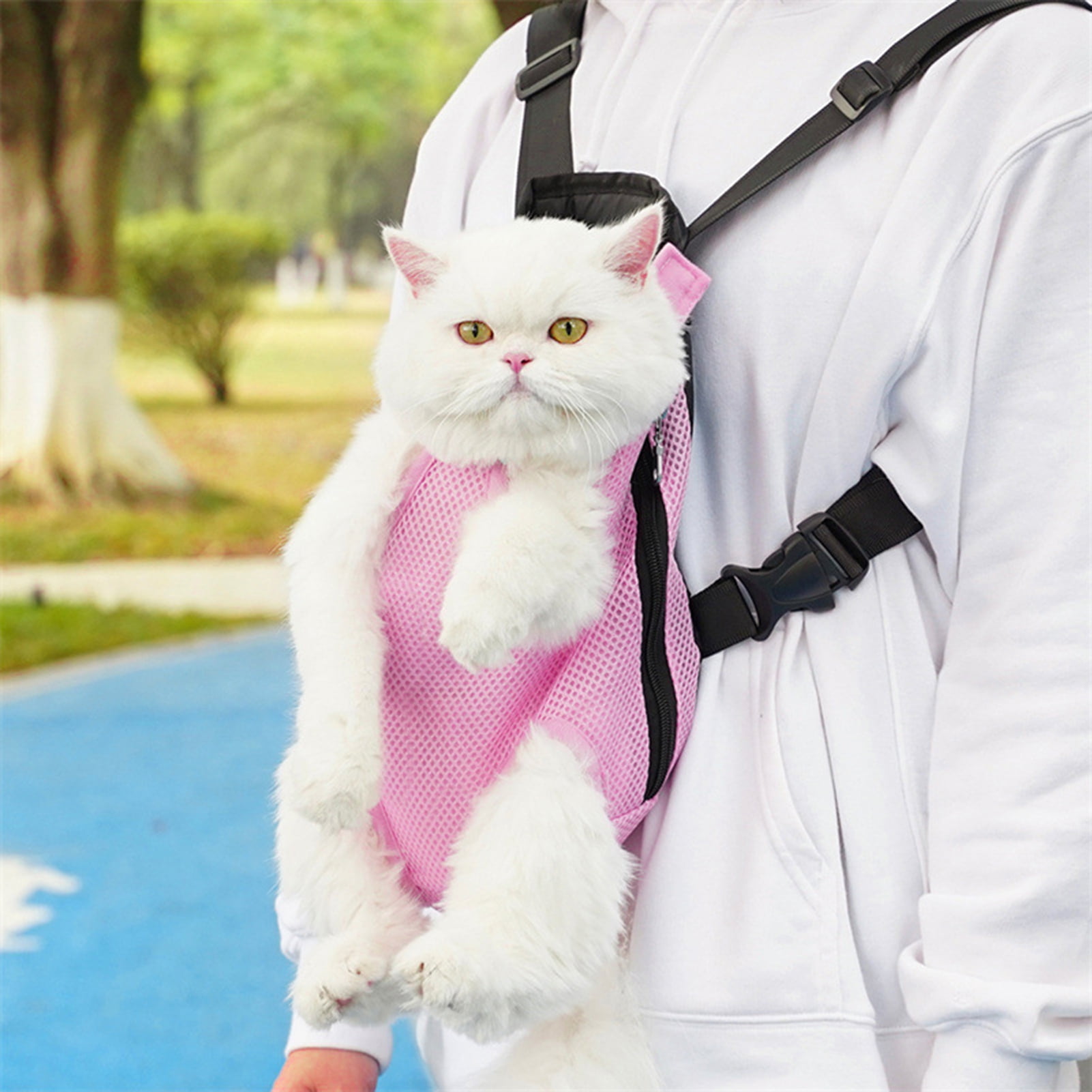 Pet Carrier Backpack — Front Or Back Carry, Adjustable, Legs-Out Design For Cats & Small Dogs
