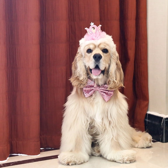 Primegos Pet Sequin Bow Collar Rhinestone Crown Set Pet Dress Up Costume, Birthday Gift for Dogs Cats Pets