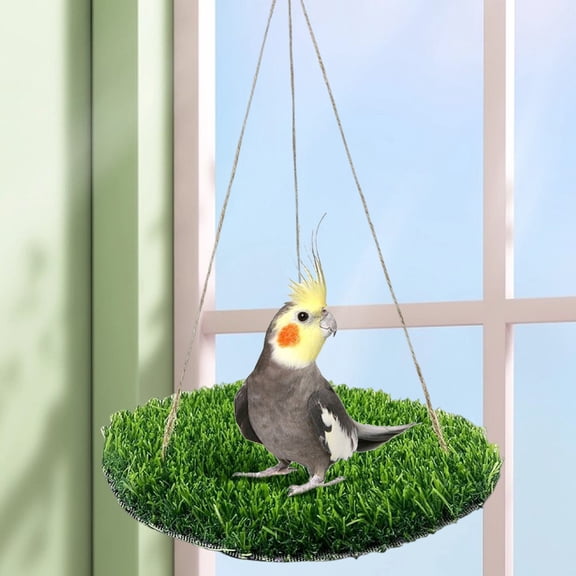 Primegos Reptile Hammock with Adjustable Rope, Small Mat Climbing Platform Toy for Lizards Bearded Dragons Chameleons Hamsters Guinea Pigs Rats