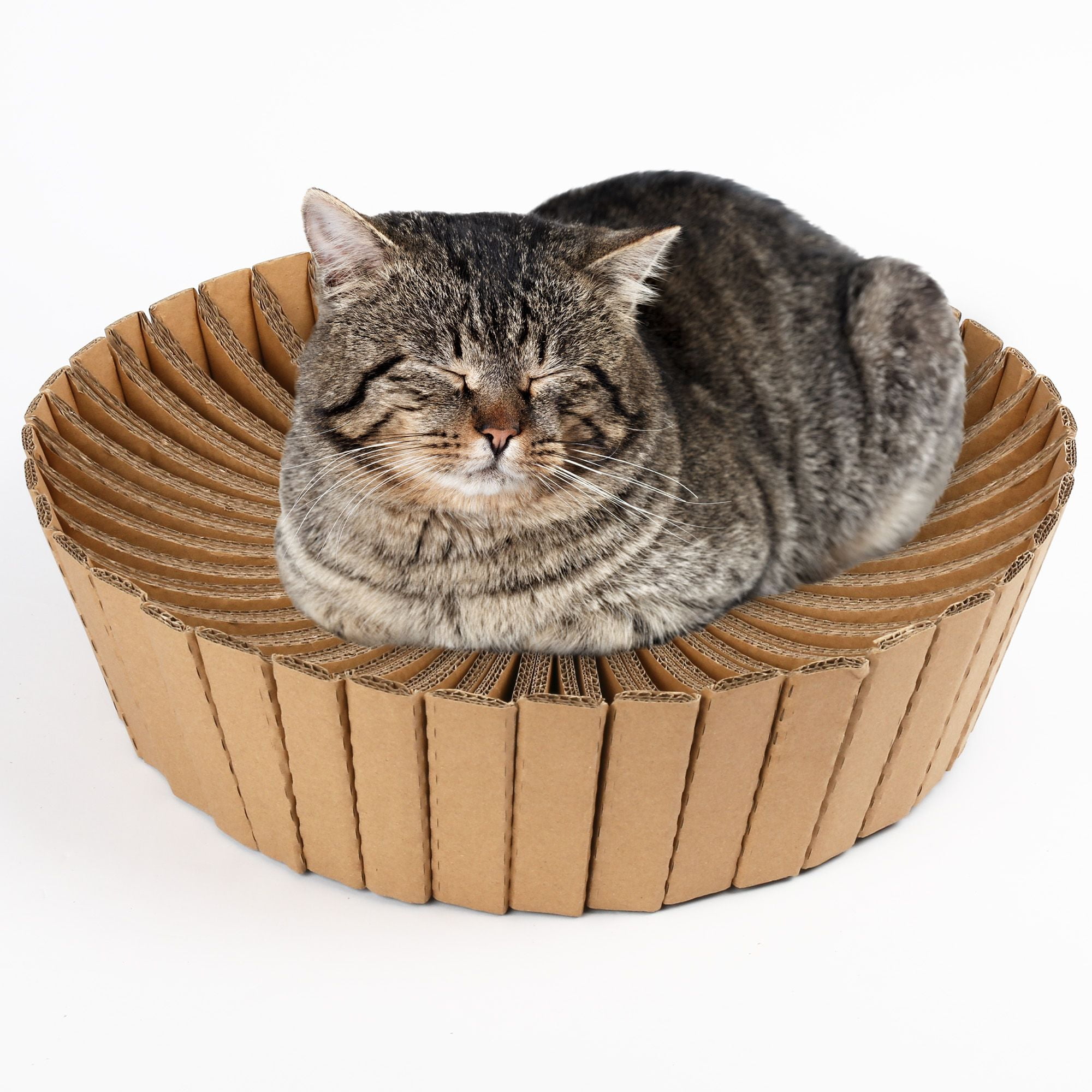 Round cardboard cat deals bed