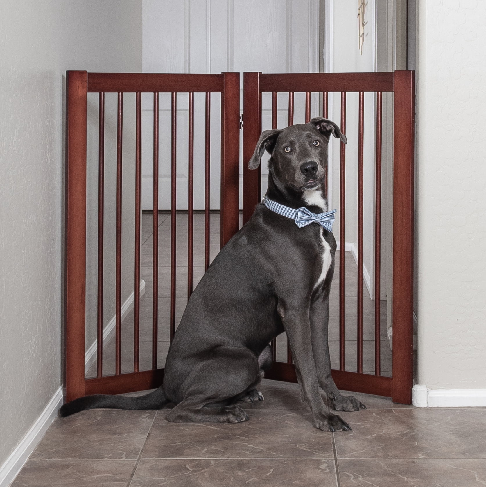 Dog Gate Extensions