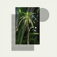 thumbnail image 1 of Primitives (CD), 1 of 1