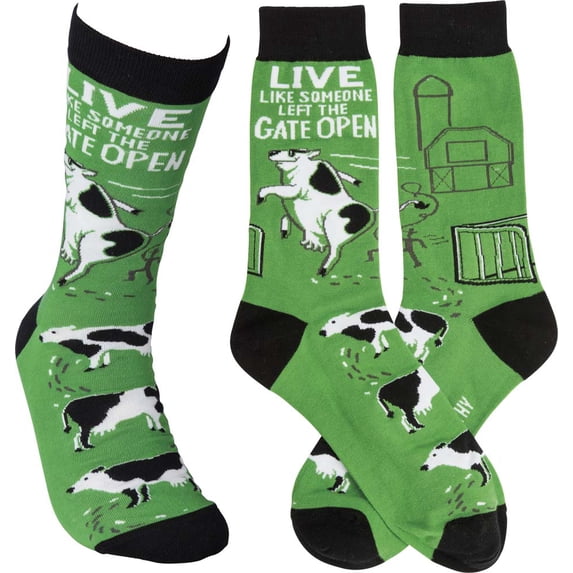 Primitives by Kathy Gate Open Socks