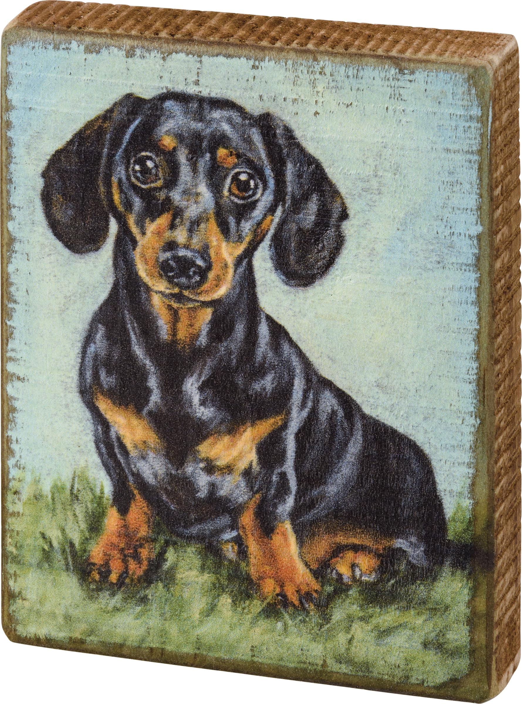 Primitives by Kathy Home D〓cor My Cat and I Talk Shit About You Pillow