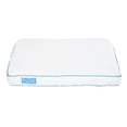 thumbnail image 1 of Primo International 52055 Blossom TPE Cooling Pillow, White & Blue - Standard, 1 of 10