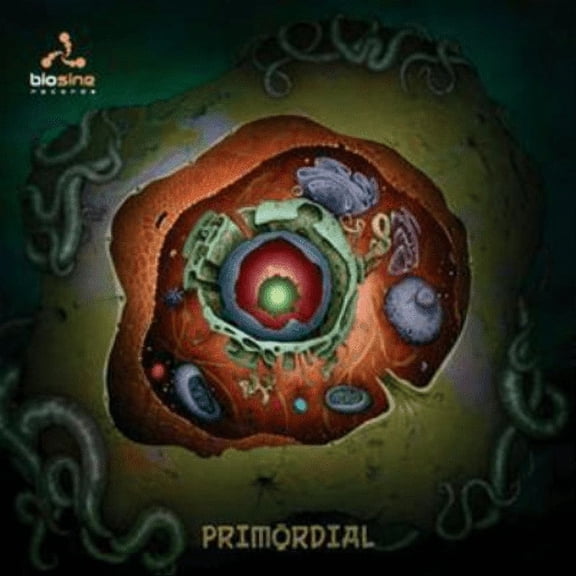 Various Artists Primordial (CD) Album