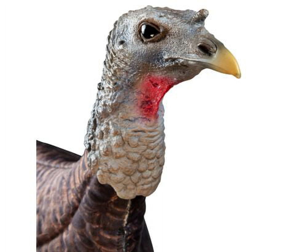 Primos Hunting Photoform Hen Decoys,