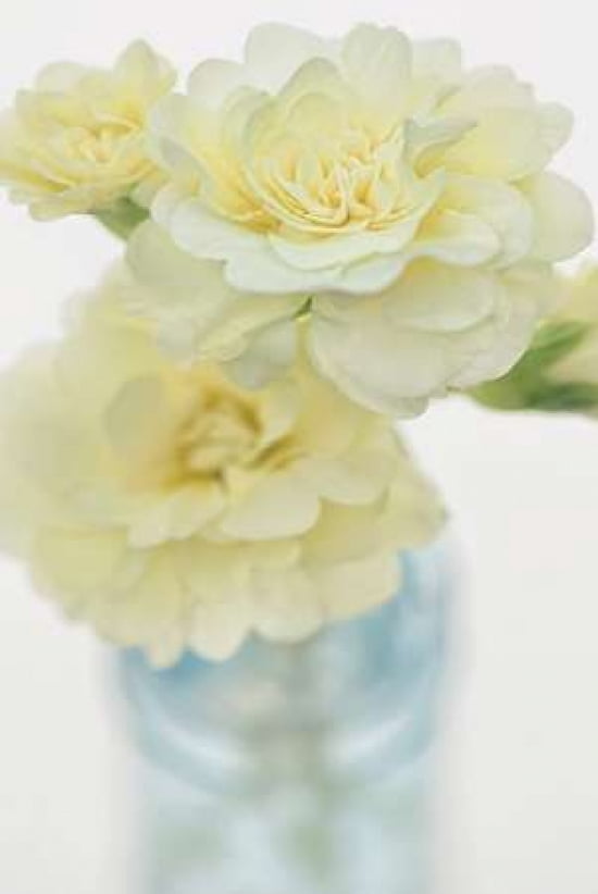 Primrose Vase Canvas Art - Cora Niele (24 x 36)