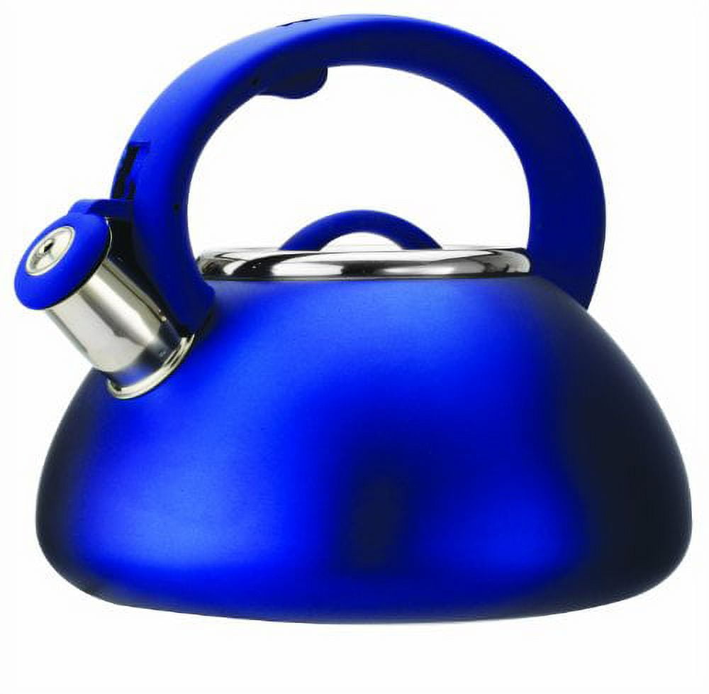 Rorence Stainless Steel Whistling kettle: 2.5 Quart with Capsule Botto –  Rorence Store