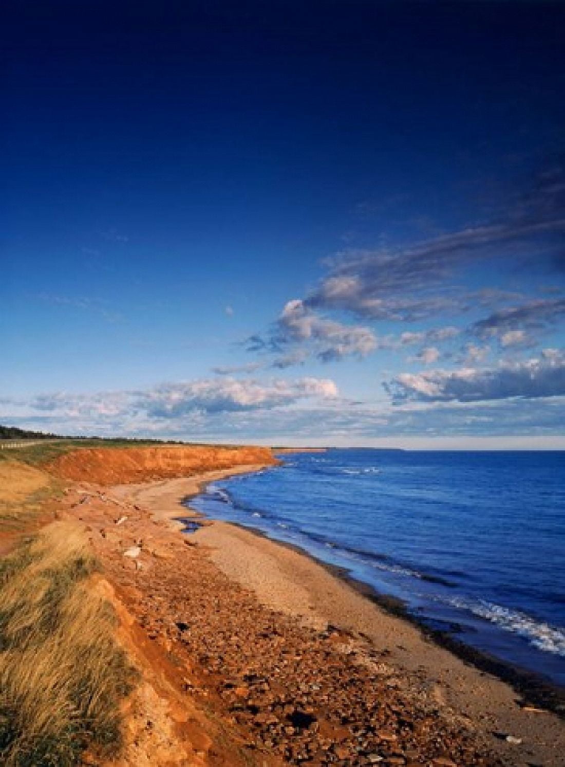 Prince Edward Island National Park Canvas Art - Walter Bibikow DanitaDelimont (26 x 35)