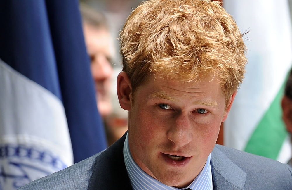 Prince Harry At A Public Appearance For Prince Harry At Official Naming