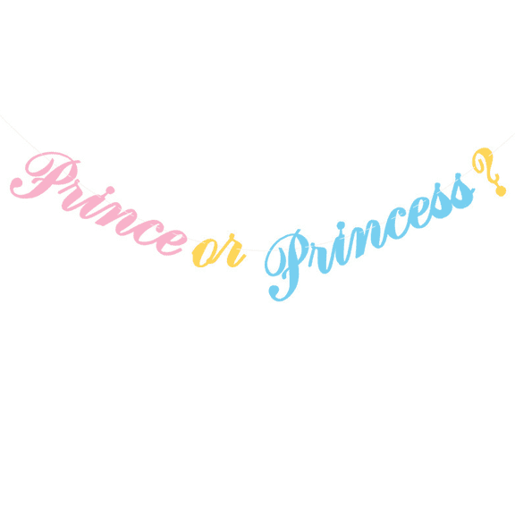 Prince or Princess? Gender Reveal Banner, Pink and Blue, Baby Shower Party Decoration