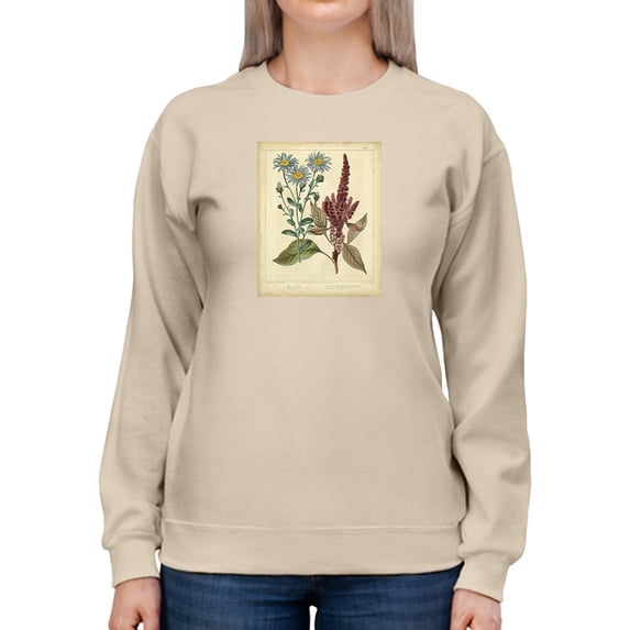 Prince's Feather Sweatshirt Women -Sydenham Edwards Designs, Female 3X-Large