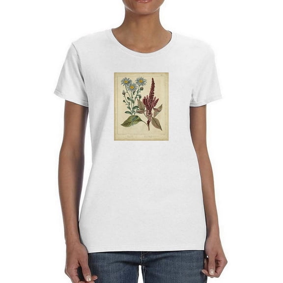 Prince's Feather T-Shirt Women -Sydenham Edwards Designs, Female 4X-Large