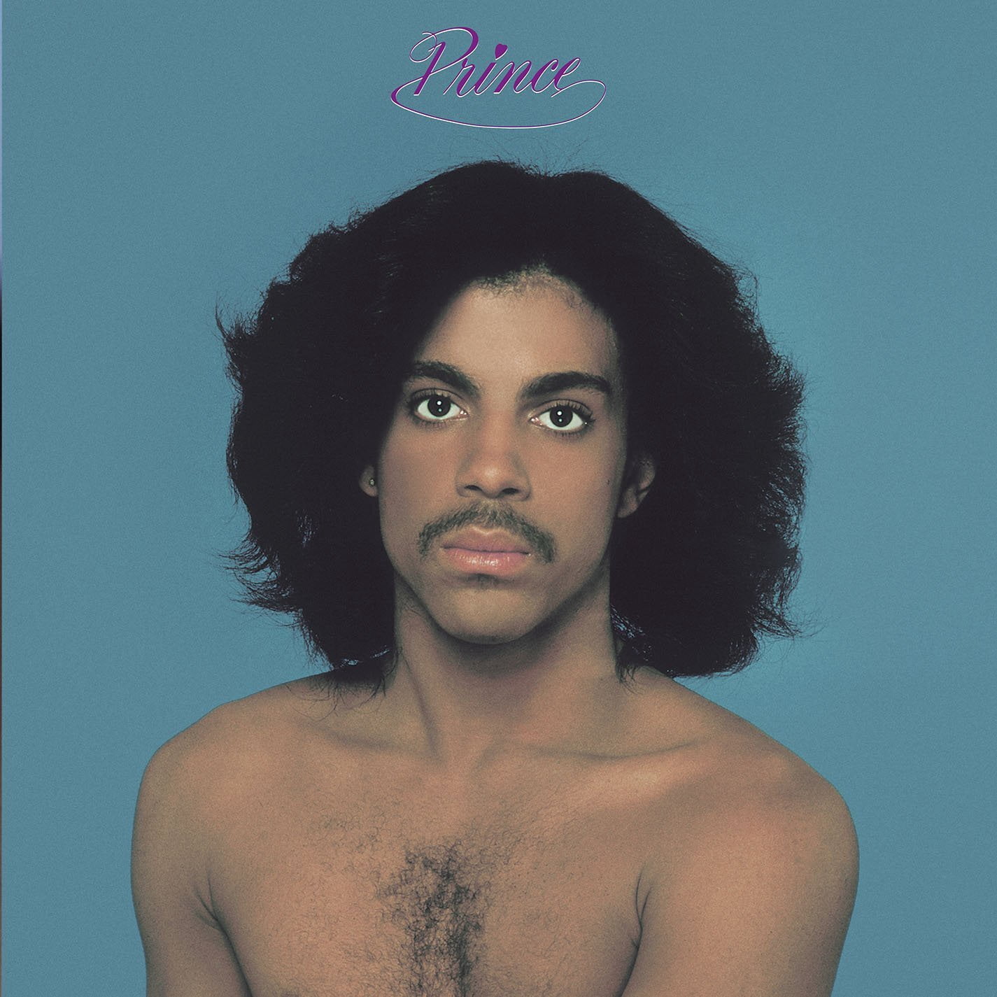 PRINCE & THE REVOLUTION 　EPレコード　ボックスセット Prince & The Revolution - Prince and the Revolution - Purple