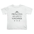 thumbnail image 1 of Princess Are Born In November Funny Toddler T-Shirts for Boys Girls (White, 4T), 1 of 5