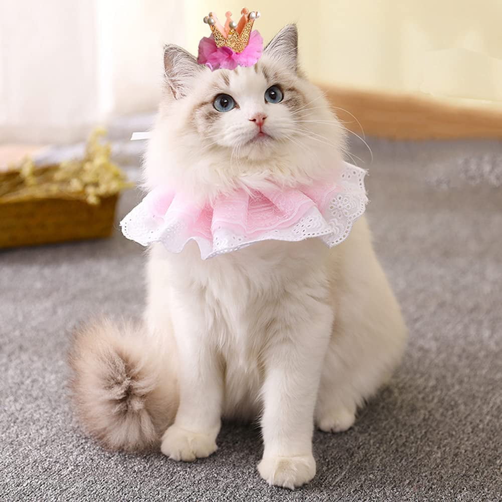 Princess Cat Costumes for Cats, Cute Lace Dog Bandanas and Cat Crown  Accessories for Cats Small Dogs, Pink Outfit for Birthday Party