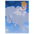 thumbnail image 1 of Princess Cinderella Puzzles for Kids Interactive Brain Teasers for Adults Educational Toys and Games 300 PCS, 1 of 6