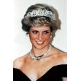 thumbnail image 1 of Princess Diana History (18 x 24), 1 of 1