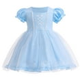 thumbnail image 1 of Princess Dress Up Clothes Halloween Fancy Tulle Skirt Outfit for Baby & Toddler Girls, 1 of 7