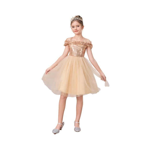 Princess Dress for Girl Cosplay Halloween Costume Puff Sleeve Layerd Dresses Evening Gown
