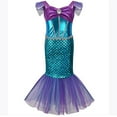 thumbnail image 1 of Princess Dress for Toddler Little Girls Fancy Birthday Gift, Christmas , Birthday Party Outfits, 1 of 2