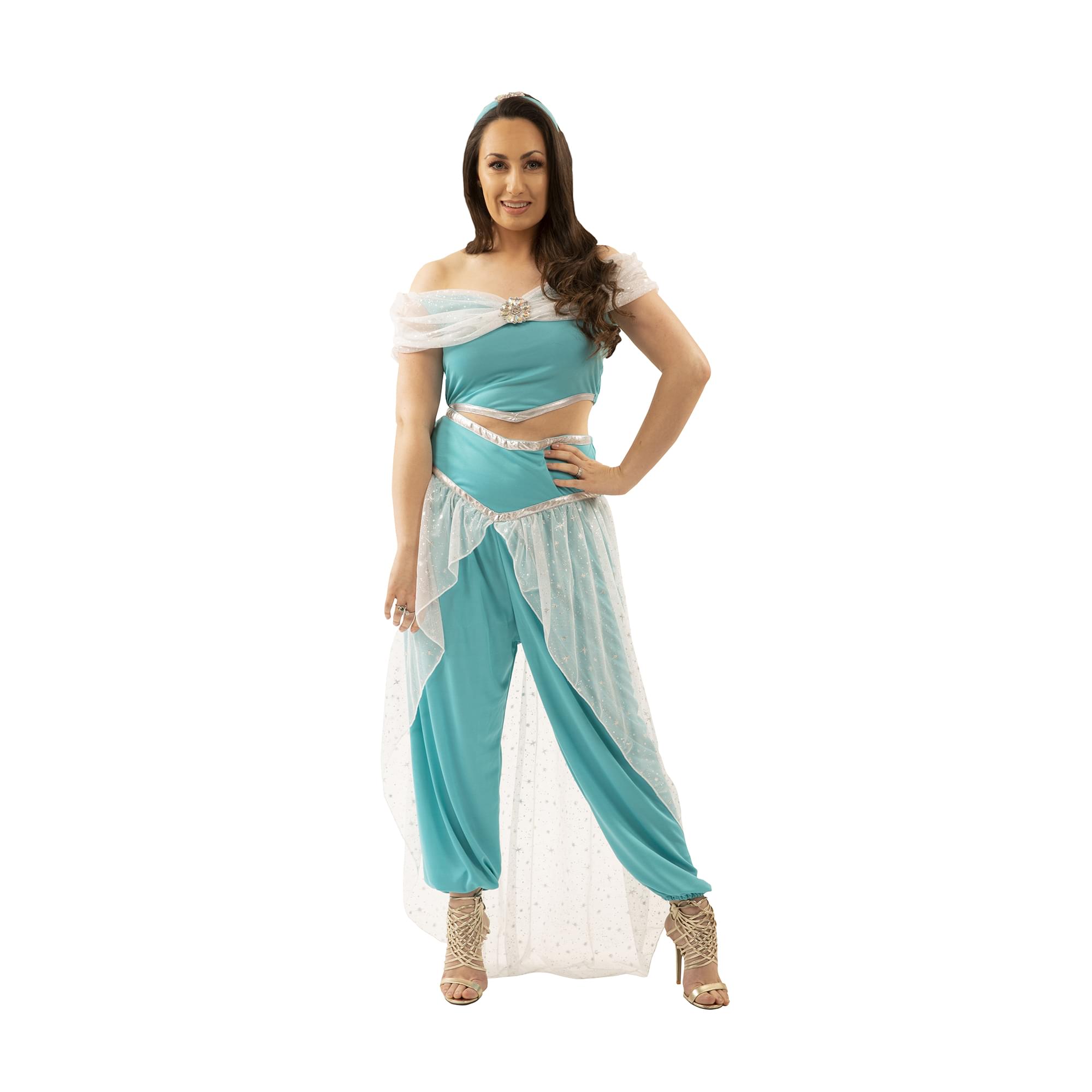 Adult Princess Jasmine Dress Adult Princess Jasmine Dress