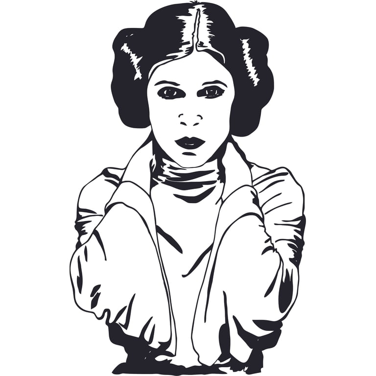 Star Wars Comic Quote Wall Art Print - Princess Leia & Han Solo, 50x40 Cm, Premium Satin Paper, No Frame