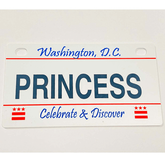 Princess Mini Bike Plate Add On Accessory