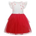 thumbnail image 1 of Princess Ocean Adventure Costumes for Girls Halloween Birthday Tulle Dress, Size 4T, 1 of 6