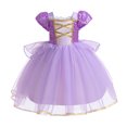 thumbnail image 1 of Princess Rapunzel Costume Little Girls Dress Up for Birthday Party Halloween Carnival, 1 of 7