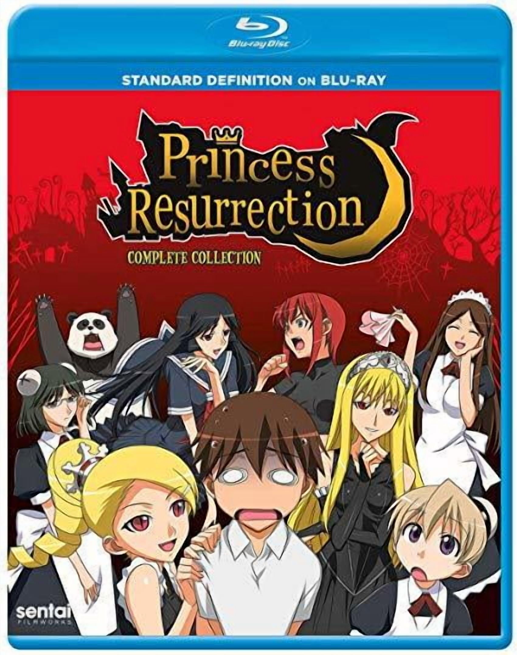 Princess Resurrection X 廃屋王女 Princess Resurrection - Walmart.com