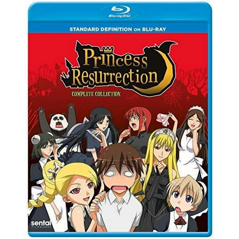 Princess Resurrection - Walmart.com