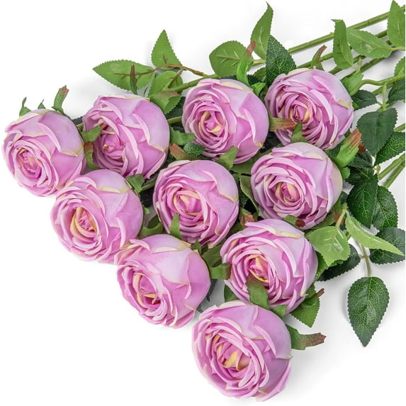 Princess Silk Rose Flowers Long Stem Artificial Melaleuca Rose Flower for Home Wedding Decor, Pack of 10 (Blush)