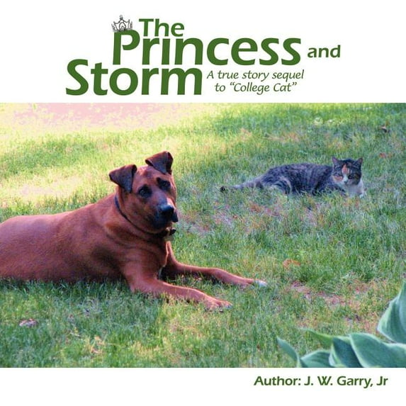 The Princess and Storm, (Paperback)