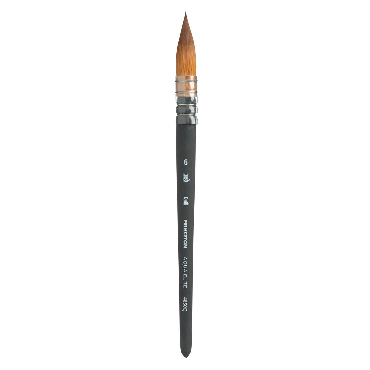 Princeton Aqua Elite Brush Review - Doodlewash®