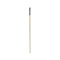 thumbnail image 1 of Princeton Brush Catalyst Polytip Long Handle Bristle Brush, Flat, 2, 1 of 1