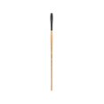 thumbnail image 1 of Princeton Brush Catalyst Polytip Long Handle Bristle Brush, Flat, 6, 1 of 1